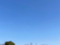 -尚贤河湿地