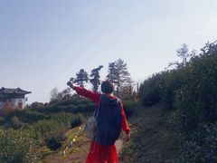 -径山寺