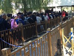 -仿膳饭庄(天安门店)