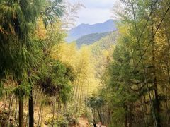 -仙霞关景区
