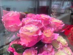 -ROSEONLY诺誓(广州K11店)