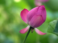 -四川大学(华西校区)