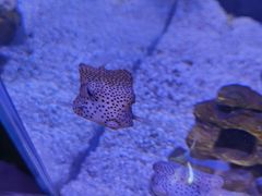 -太平洋海底世界