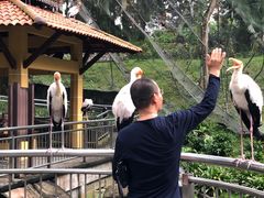 -吉隆坡雀鸟公园