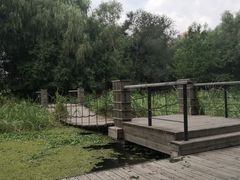 -长白岛森林公园