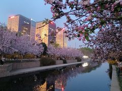 -元大都城垣遗址公园