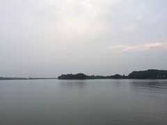 -枫林花海
