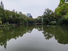 -浮庄