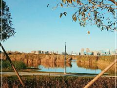 -五甲塘生态湿地公园