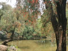 -人民公园(罗湖区)