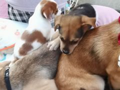 -瑞虹新天地月亮湾