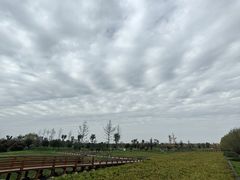 -汉长安城未央宫国家考古遗址公园