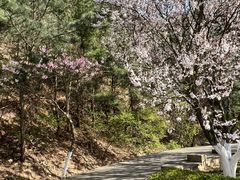 -海韵乐宿露营民宿