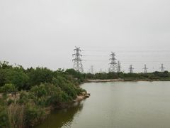 -大港湿地公园