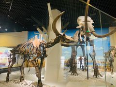 -国家自然博物馆