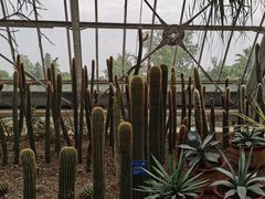 -南山植物园