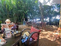 -Fern Forest Cafe