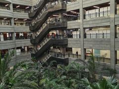 -黑龙江中医药大学附属第一医院