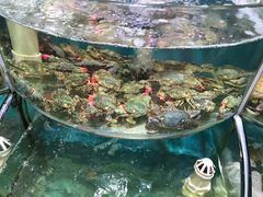 -晓伟海鲜家常菜