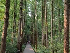 -同里国家湿地公园