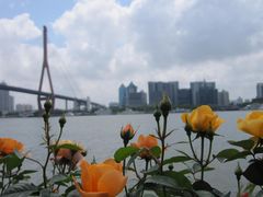 -北外滩滨江绿地