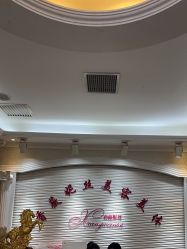-香薇妮丝女子减肥院