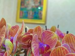 -瑞辰茶空间·商务·掼蛋·活动 (团结湖店)