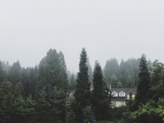 -武陵山森林公园