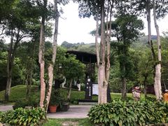 -瑞穗牧场