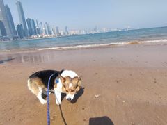 -青岛第三海水浴场