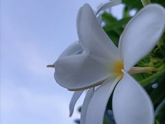 -维乐口腔医院(星海湾分院)