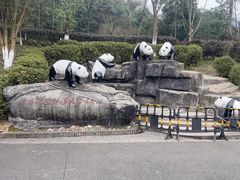 -都江堰中华大熊猫苑