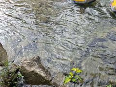 -香江大丰水峡谷漂流