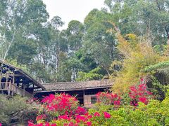 -深圳国际园林花卉博览园