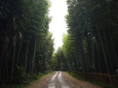 -黄公望隐居地