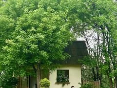 -成都保利公园皇冠假日酒店(熊猫基地店)