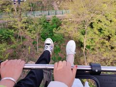 -青岛中山公园-索道售票处
