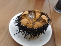 -海胆小馆(东北水饺·春柳店)