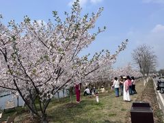 -金银湖国家城市湿地公园