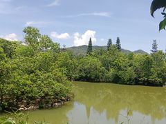 -碧海湾山海峡漂流