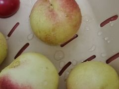 -沈阳市八家子水果批发市场