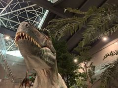 -湖南省地质博物馆