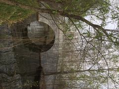 iphone_upload_pic-溱湖国家湿地公园