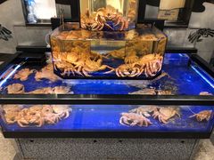 -蟹道乐(道顿堀本店)