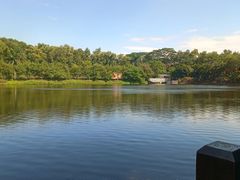 -大屏嶂森林公园