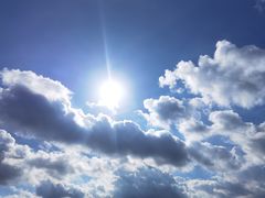 -黄B湛江鸡饭店(粤垦路店)