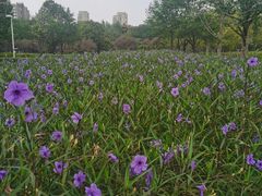 -白塘生态植物园