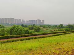 -西安浐灞国家湿地公园