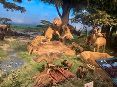 -国家自然博物馆