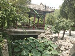 -莲池书院博物馆